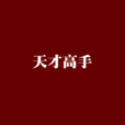 天才高手(小說) 天才高手(小說)