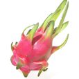 火龍果(紅龍果)