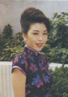 銀狐(1993年黃日華、曾華倩主演亞視電視劇)