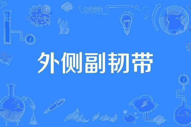 外側副韌帶 外側副韌帶