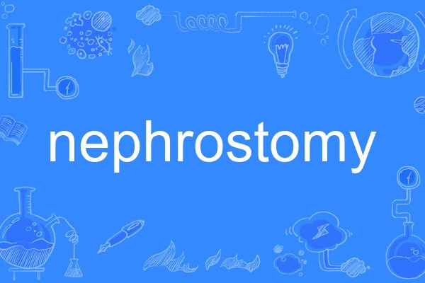 nephrostomy nephrostomy