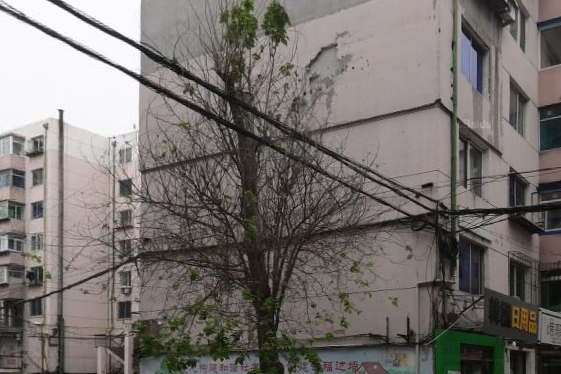 邊牆社區