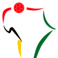 2004年非洲國家杯