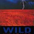Wild Weather(Halter, Reese著圖書) Wild Weather(Halter, Reese著圖書)