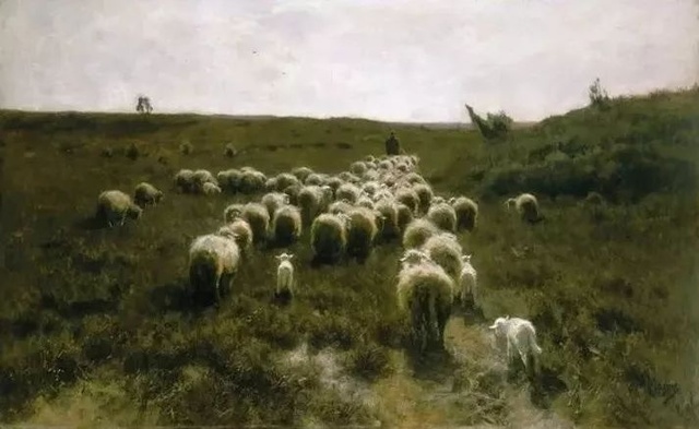 回歸的羊群
