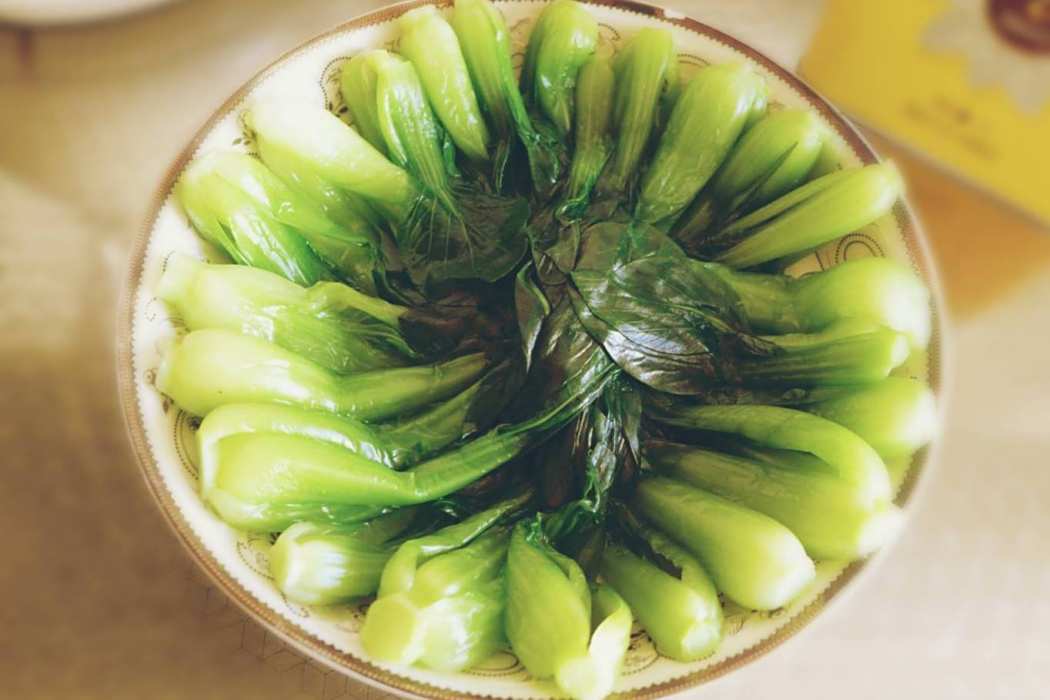 玉樹金錢 玉樹金錢