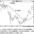噪音交易者