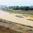 靳江河 靳江河