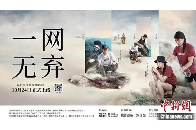 一網無棄