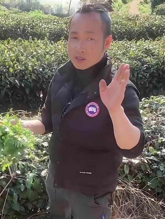 控糖周歌 控糖周歌