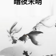 暗夜未明 暗夜未明