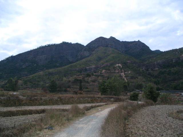 楊歷岩 楊歷岩