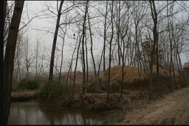 馬廠遺址 馬廠遺址