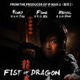 龍拳(2011年王曉晨主演動作電影)