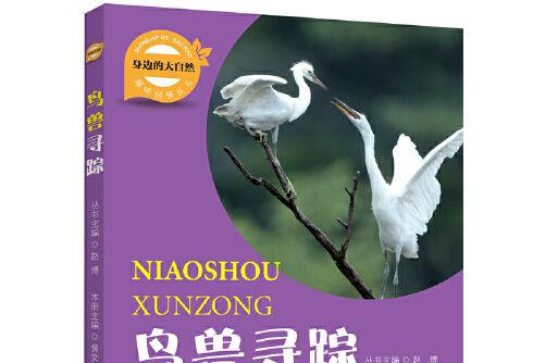 鳥獸尋蹤(2018年遼寧師範大學出版社出版的圖書) 鳥獸尋蹤(2018年遼寧師範大學出版社出版的圖書)