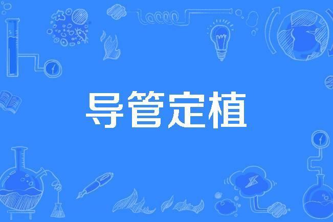 導管定植 導管定植