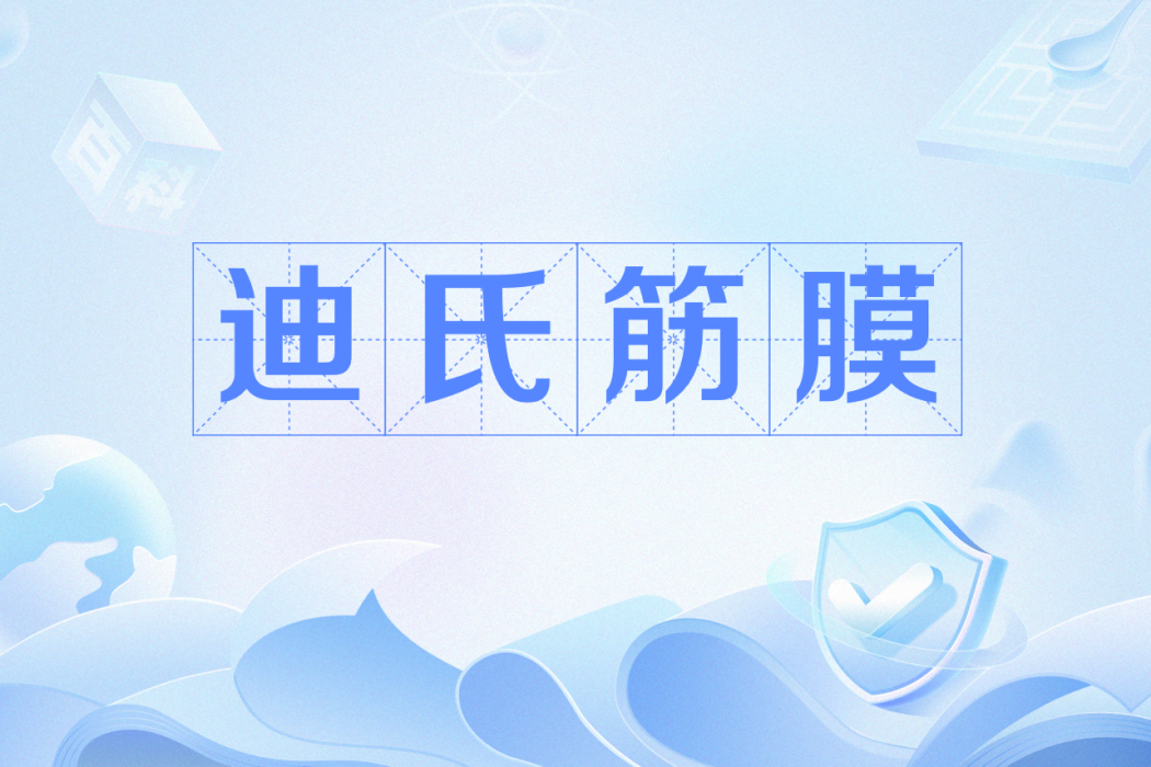 迪氏筋膜 迪氏筋膜