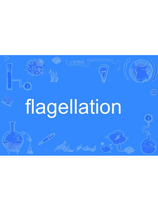 flagellation flagellation