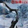 天涯恨 天涯恨