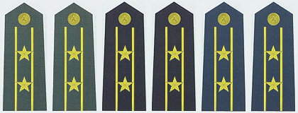 陸海空軍中校常服肩章(2007—)