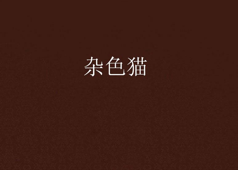 雜色貓