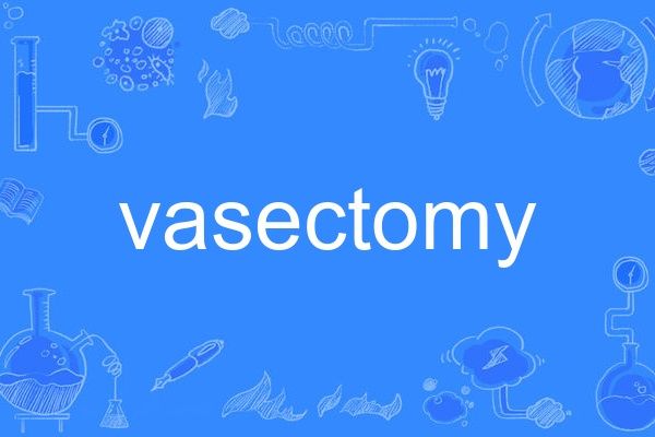 vasectomy vasectomy