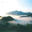南陽伏牛山