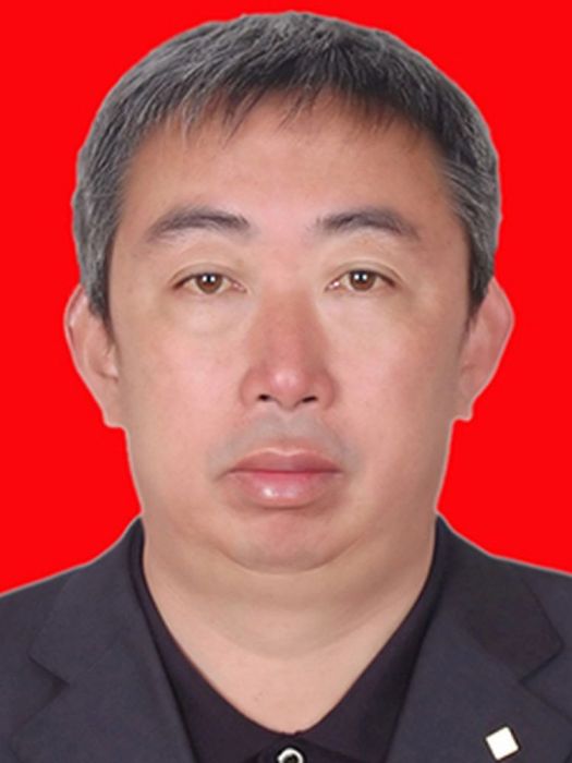 王林(陝西省榆林市子洲縣審計局總審計師)