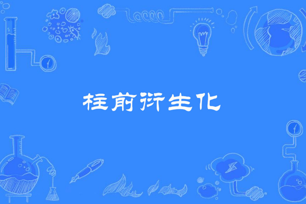 柱前衍生化