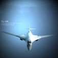 圖-160轟炸機(海盜旗（戰爭武器）)