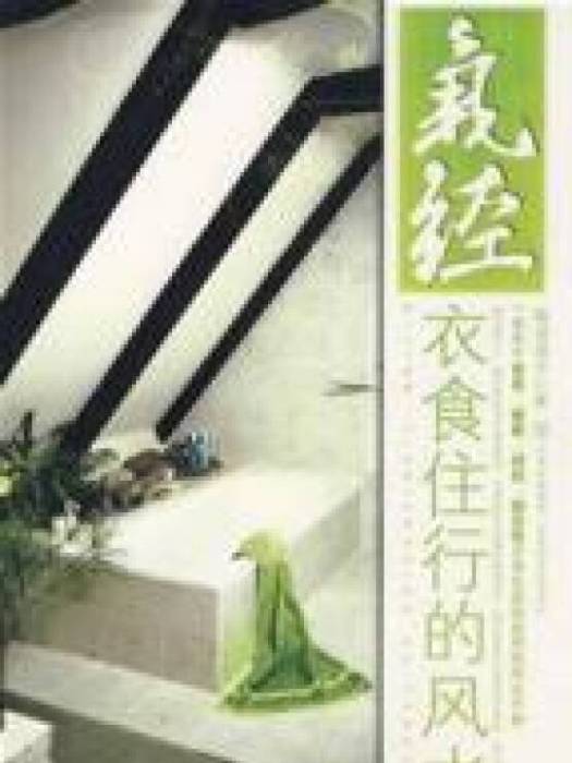 氣經(2009年江西出版集團出版的圖書) 氣經(2009年江西出版集團出版的圖書)