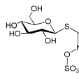 蘿蔔硫素 蘿蔔硫素