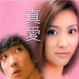真愛(中國香港黎繼明2000年執導電影) 真愛(中國香港黎繼明2000年執導電影)