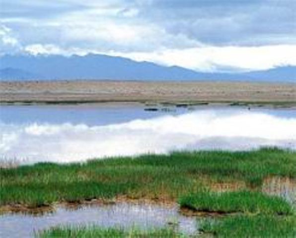 小蘇乾湖自然保護區