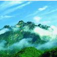 黃兌村 黃兌村