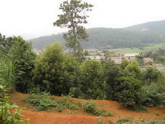 史母村 史母村