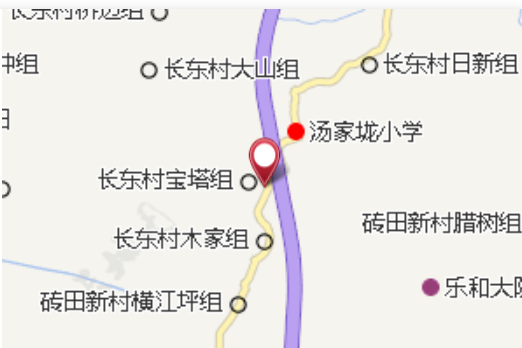 岑背組 岑背組