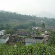 三關廟村 三關廟村