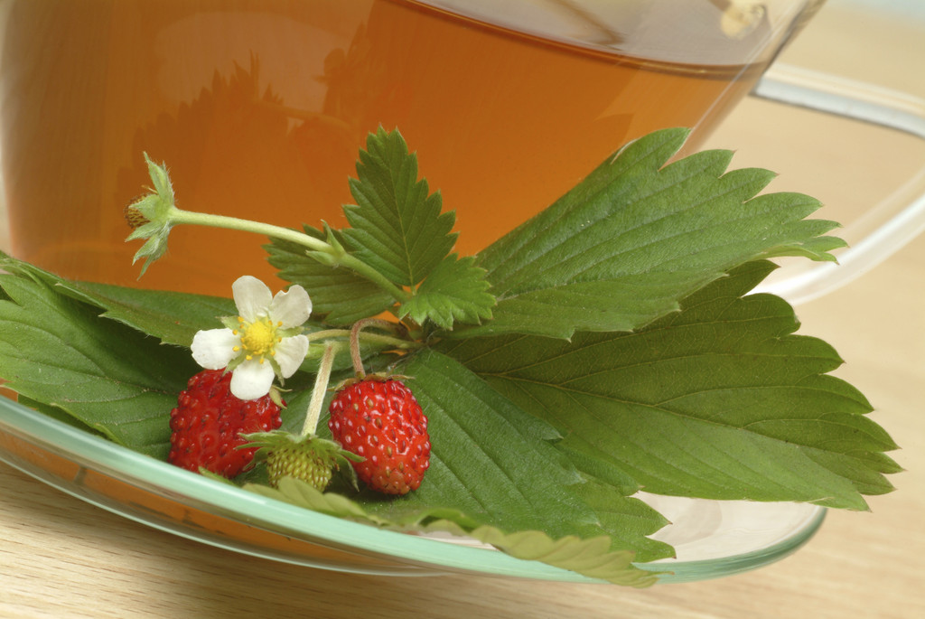 野草莓茶