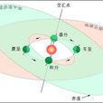 秋分日(秋季九十天的中分點)