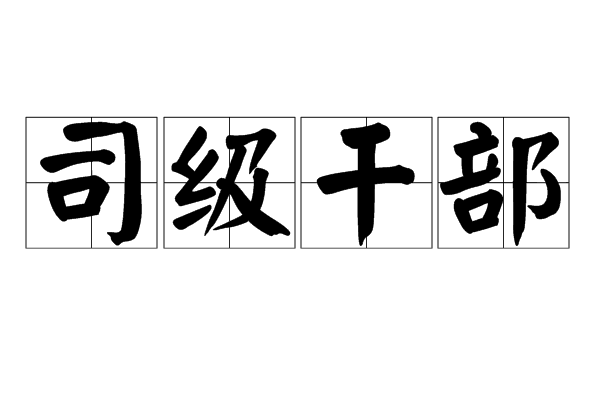 司級幹部 司級幹部