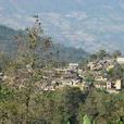 平寨村(雲南省紅河州元陽縣牛角寨鄉平寨村)