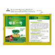 矮豐一號(矮豐1號) 矮豐一號(矮豐1號)