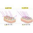 防曬劑 防曬劑