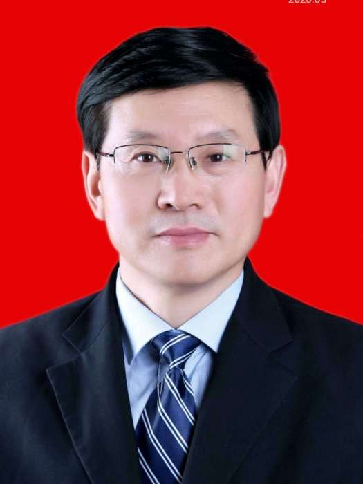 武大明(安康市人民政府原教育總督學) 武大明(安康市人民政府原教育總督學)