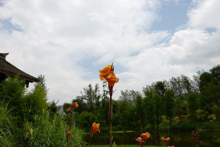 石堡公園 石堡公園