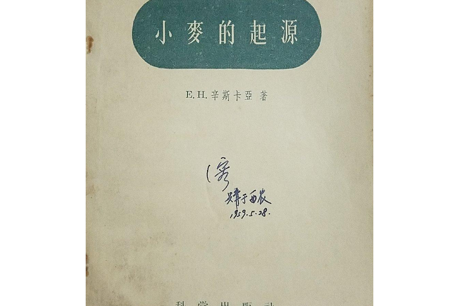 小麥的起源 小麥的起源