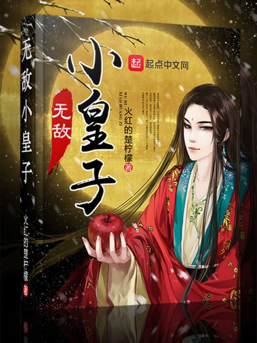無敵小皇子 無敵小皇子