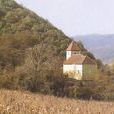 莫哈奇 莫哈奇
