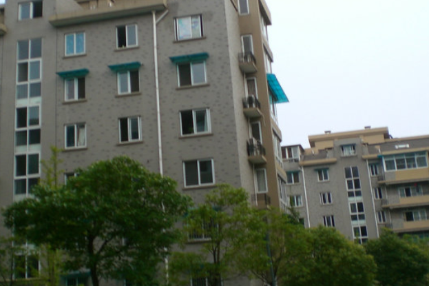 金沙學府 金沙學府
